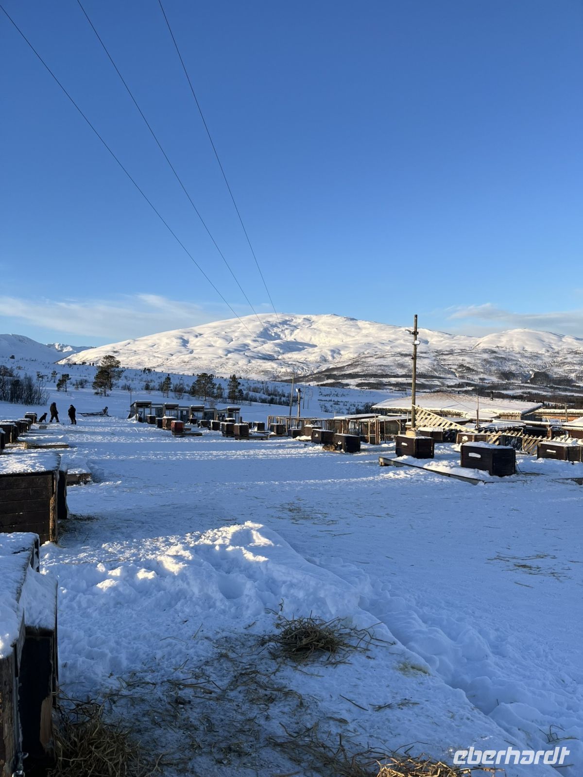 Husky Camp auf Kvaloya