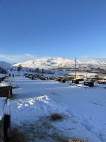 Husky Camp auf Kvaloya