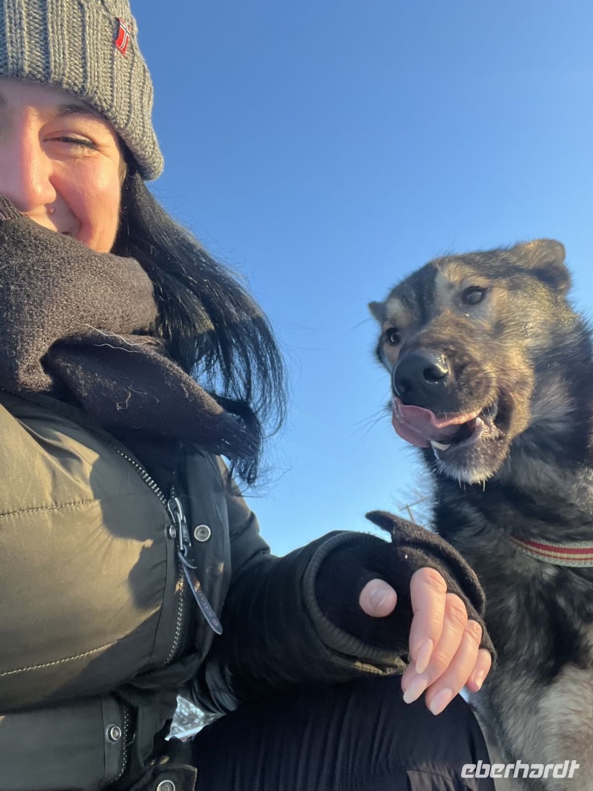 Husky Camp auf Kvaloya