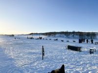 Husky Camp auf Kvaloya