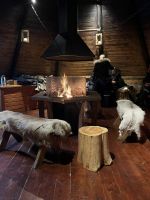 Pause nach der Husky Hundeschlittenfahrt auf Kvaloya