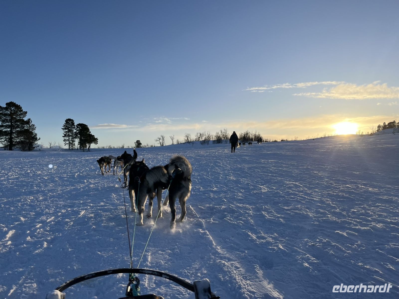 Husky Hundeschlittenfahrt auf Kvaloya
