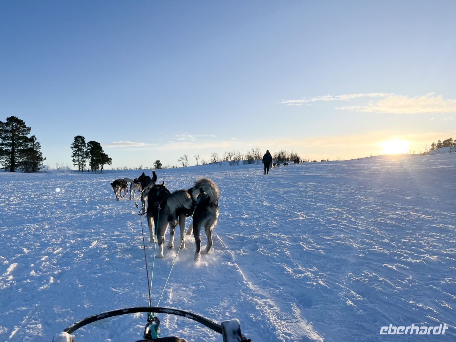Husky Hundeschlittenfahrt auf Kvaloya