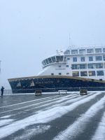 Havila Schiff im Hafen von Tromsö