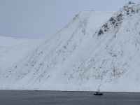 unterwegs mit MS Polarlys