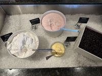 Mittagsbuffet auf der MS Nordlys