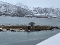 unterwegs mit MS Nordlys