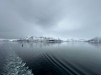 unterwegs mit MS Nordlys