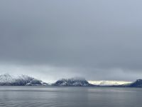 unterwegs mit MS Nordlys