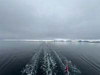 unterwegs mit MS Nordlys