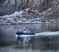 die Möven sind schon da...
