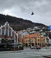 Bergen mit Blick zum Floyen