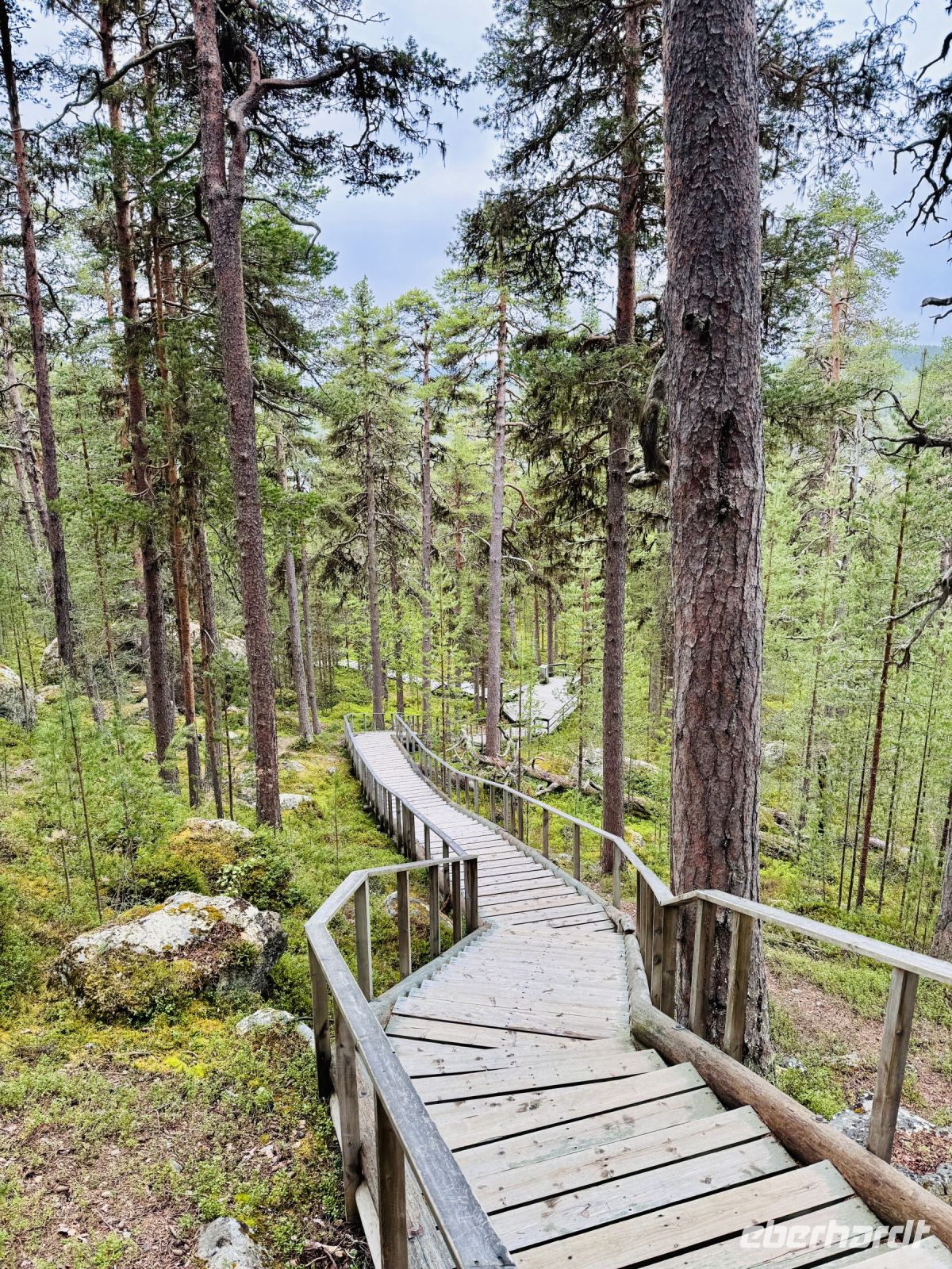 Tag 6 - Wanderung zum Ausblick über Finnland 