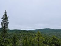 Tag 6 - Aussicht auf Finnland genießen 