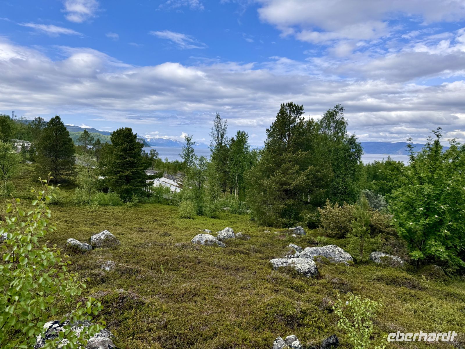 Tag 7 - Im Alta Museum