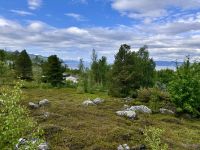 Tag 7 - Im Alta Museum