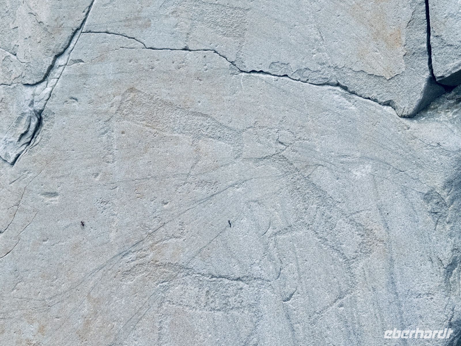 Tag 7 - Felszeichnungen Alta