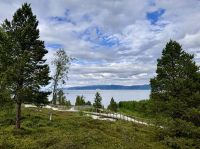 Tag 7 - Im Alta Museum