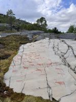 Tag 7 - Felszeichnungen Alta