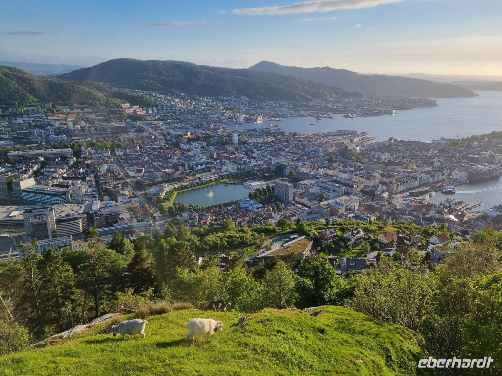 Bergen - Ausblick vom Hausberg Fløyen 