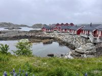 Tag 8 - Übernachtung in typischen Fischerhütten (Rorbuer)