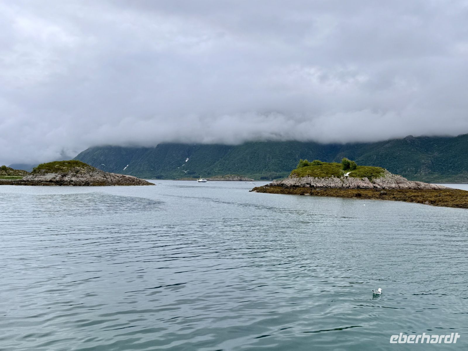 Tag 9 - Auf der Suche nach Seeadlern