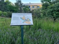 Stockholm - Geographischer Mittelpunkt 