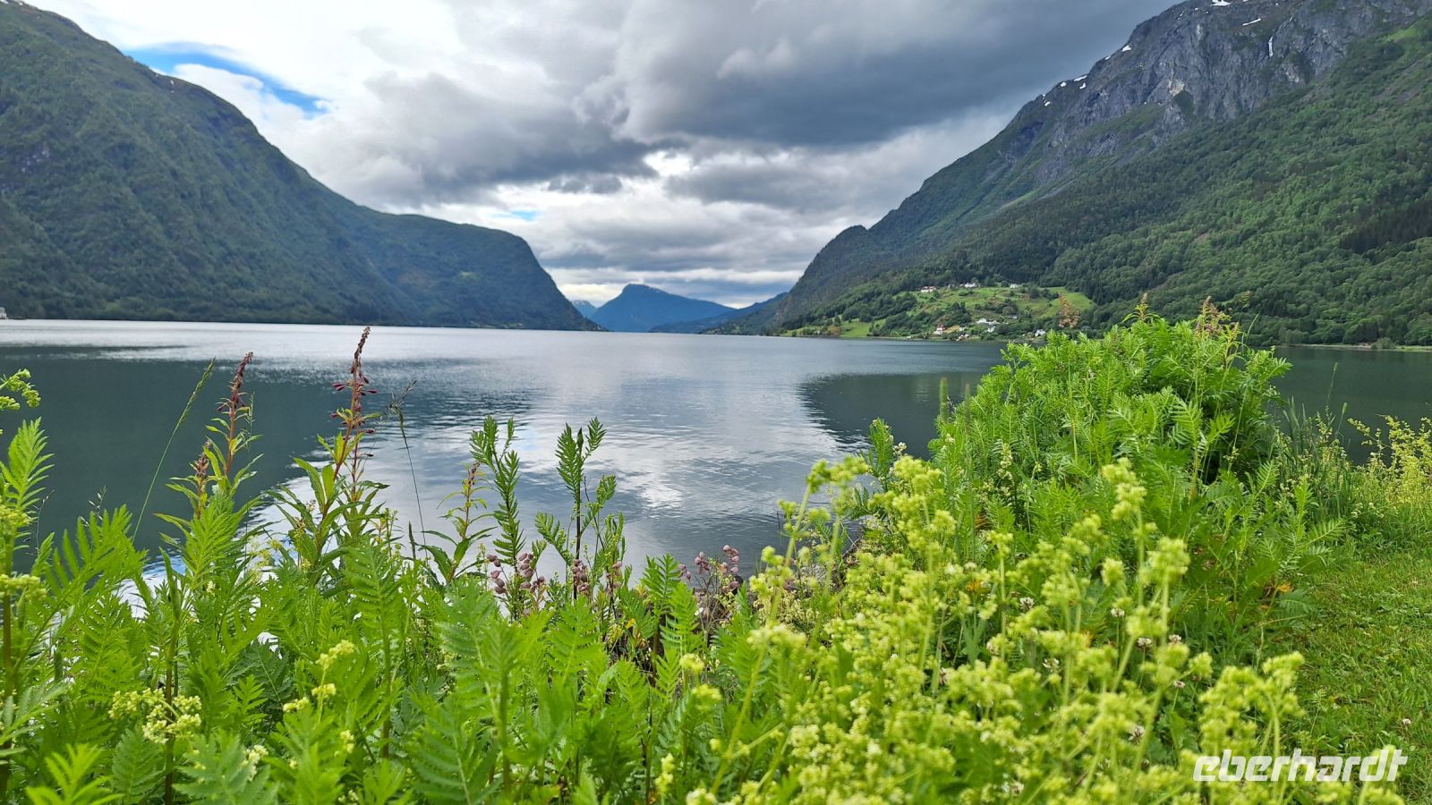 Lustrafjord