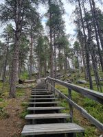 Aufstieg zur Bärenhöhle (Karhunpesäkivi) bei Inari