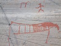 Alta Museum - Felszeichnungen