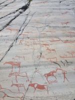 Alta Museum - Felszeichnungen