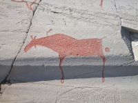 Alta Museum - Felszeichnungen