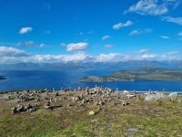 Kvænangenfjord (Gildetun)