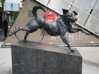 Der berühmte Hund von Holmenkollner Skischanze