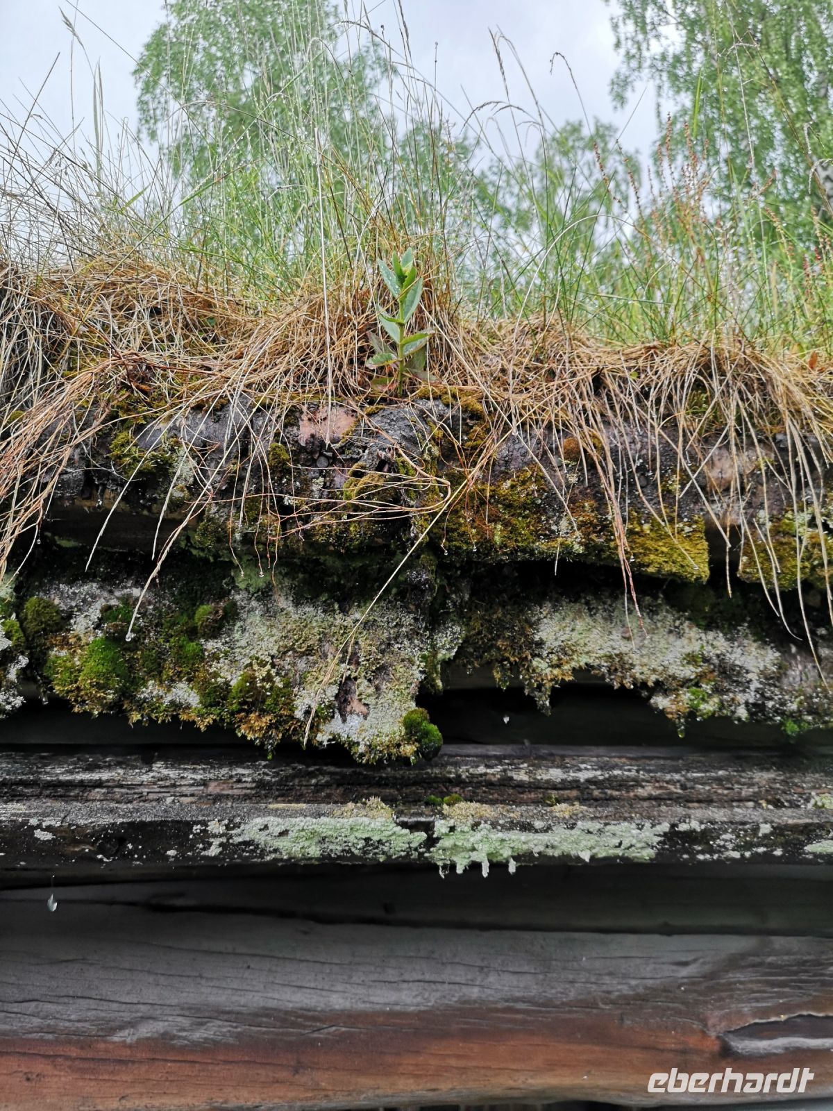 Die vielen Schichten von einem Dach von früher