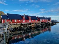 Statles Rorbusenter in Mortsund