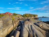 Statles Rorbusenter in Mortsund