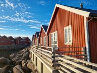 Statles Rorbusenter in Mortsund