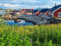 Statles Rorbusenter in Mortsund