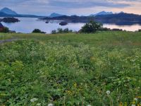 Abendstimmung in Mortsund... (heute ganz anders als gestern)