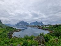 Lofoten (Insel Moskenesøy) - Reine