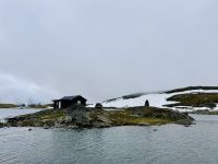 Tag 7 - Sognefjell