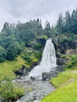Tag 9 - Steinsdalsfossen