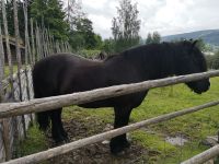 Eine geduldige Seele 