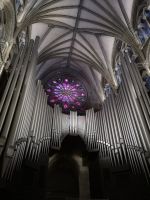 Die Rosette wie ein Auge 