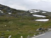 Fjell gehört auch ihnen...