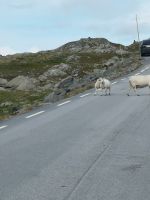Teilnehmer in dem Strassenverkehr