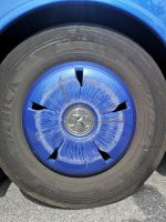 Ein neuer Muster - Pusteblume