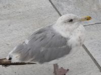 Und noch von dieser Seite, bitte....