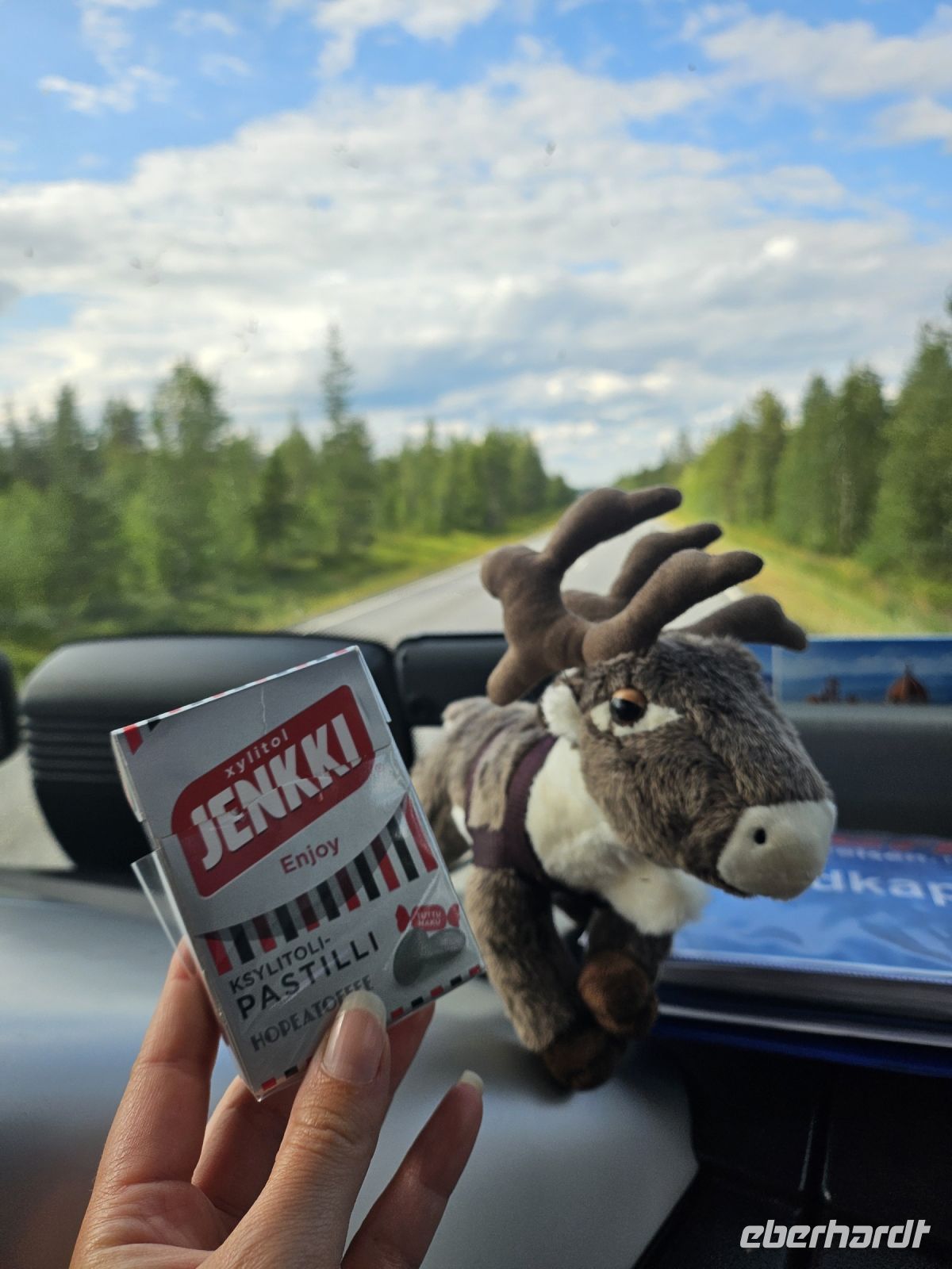 Kostprobe finnische Lakritzpastillen